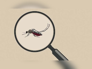 Rajasthan gets first sting in Japanese encephalitis, victim died in Kota