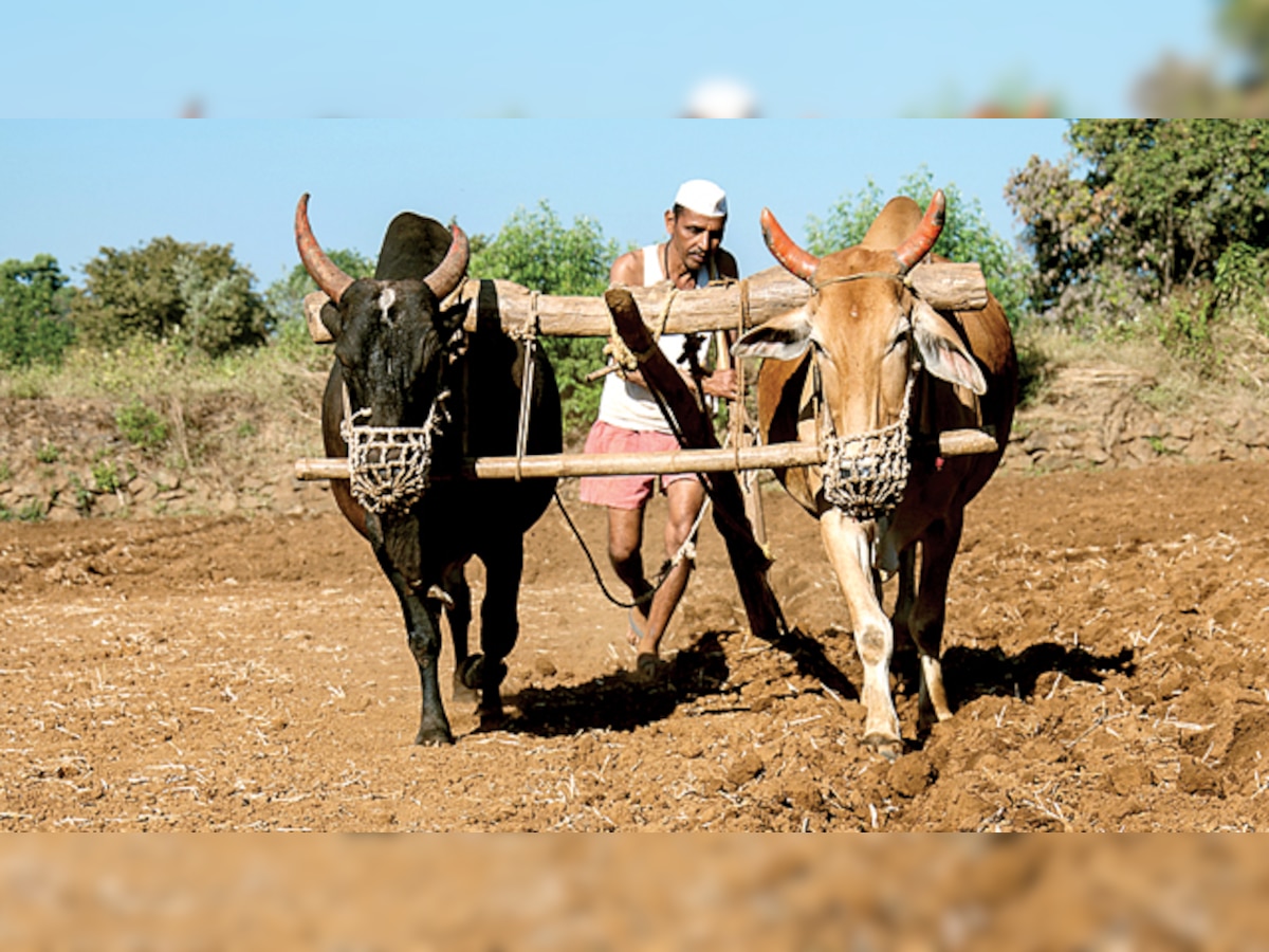 Maharashtra farmers reluctant to share Aadhar, mobile data for soil health scheme