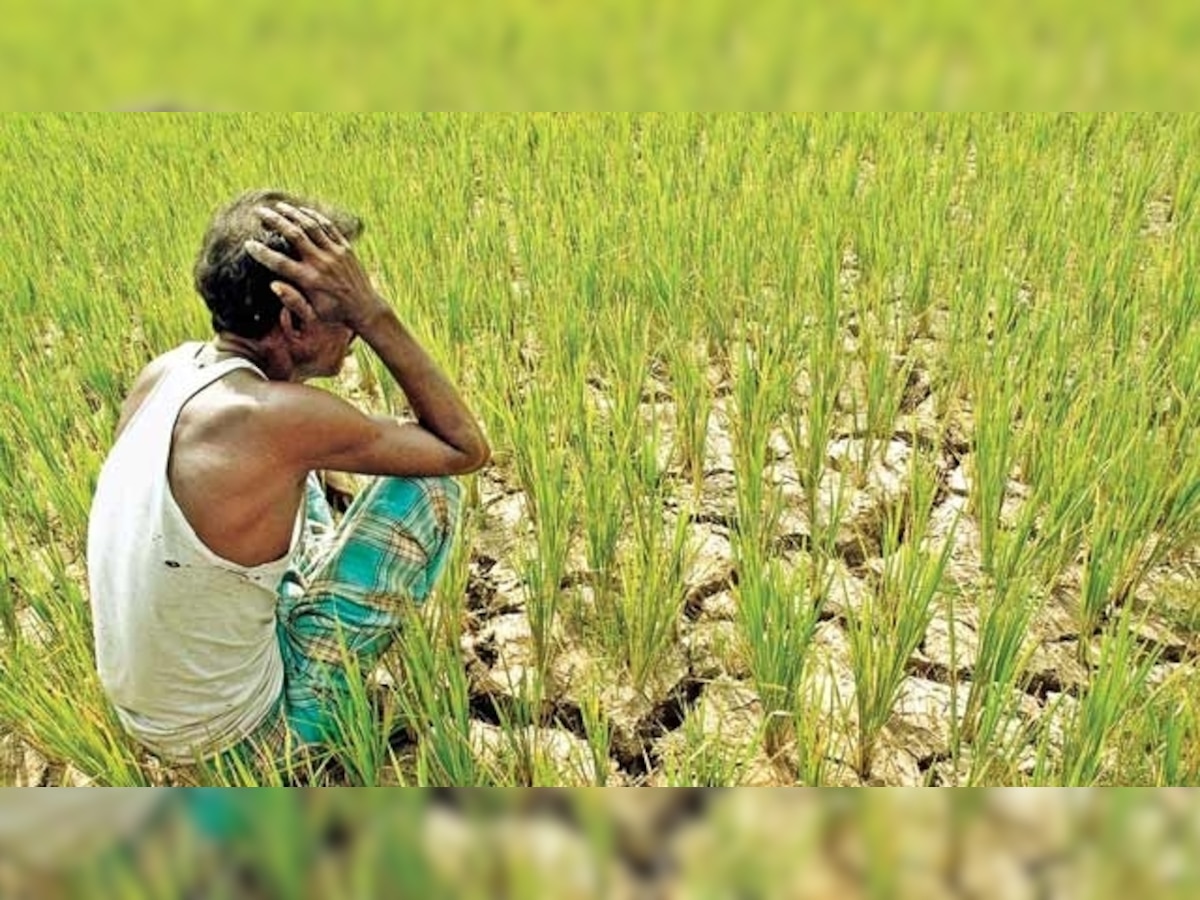 Kisan Ki Loot: PM Modi has failed farmers, they face Rs 2 lakh crore loss, says Yogendra Yadav 