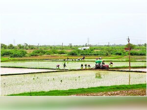 India needs to focus on implementation of GM regulations