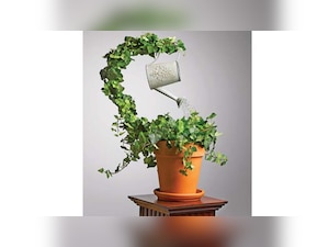 How Bharat 22 ETF can help global investors