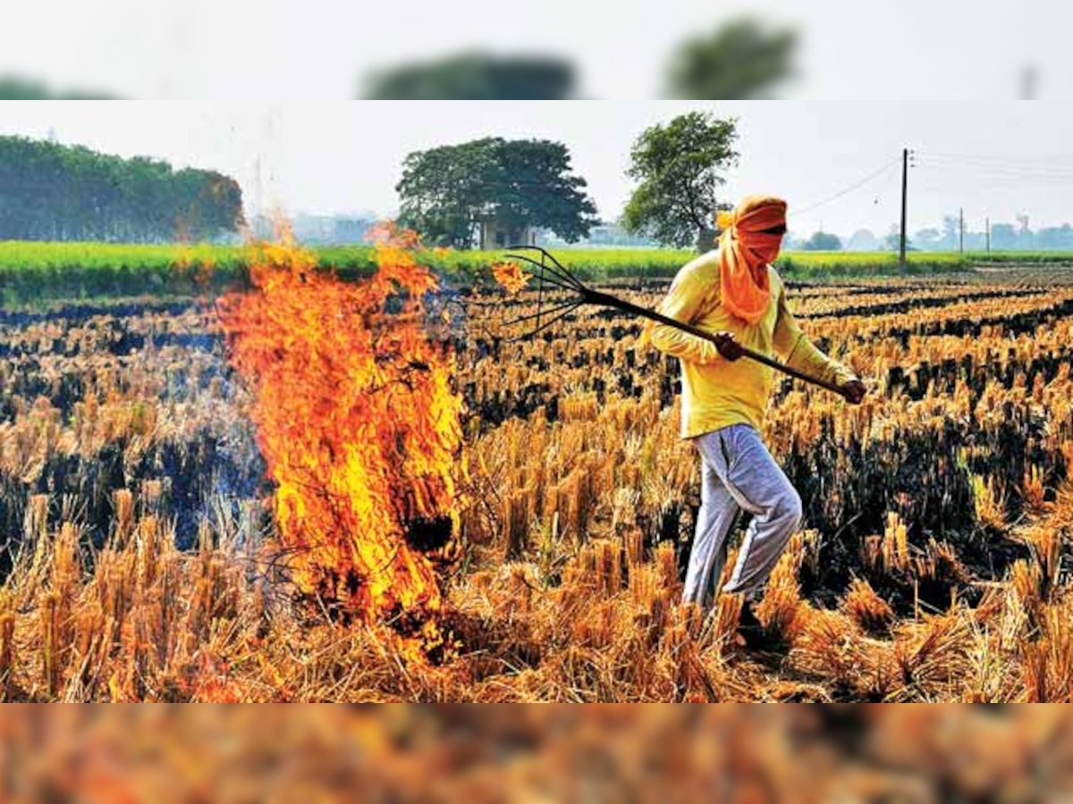 CEA releases policy to promote power generation from paddy straw