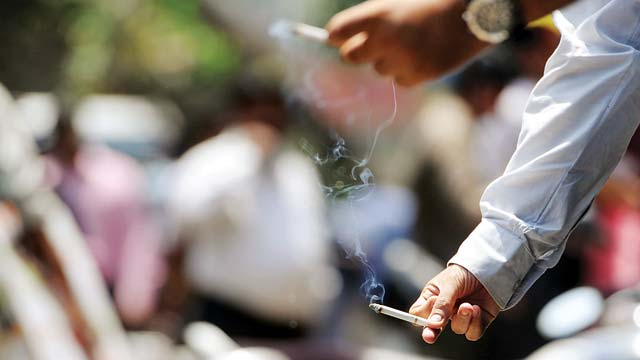 where can you find tobacco Tobacco where can you find tobacco Tobacco