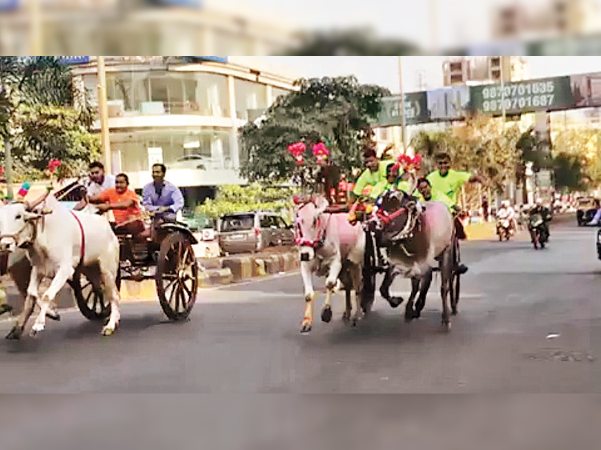 Activists file police complaint against bullock cart race