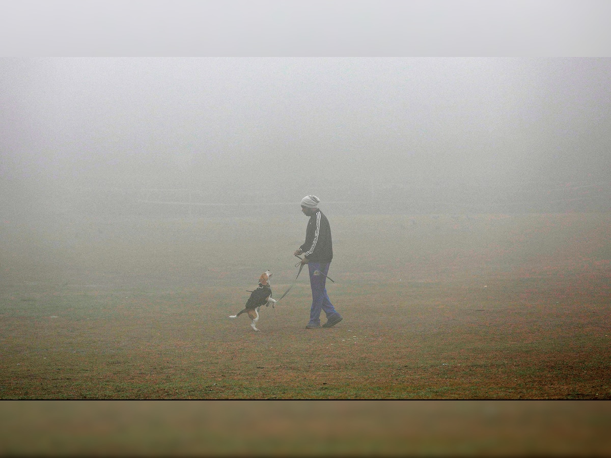 Educate kids on pollution, worried DoE tells schools