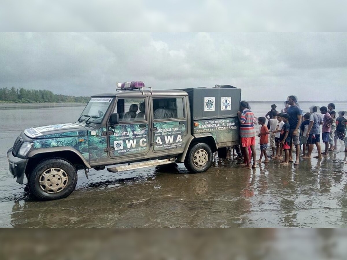 Dahanu Boat Mishap: How an ambulance meant to rescue turtles helped save lives