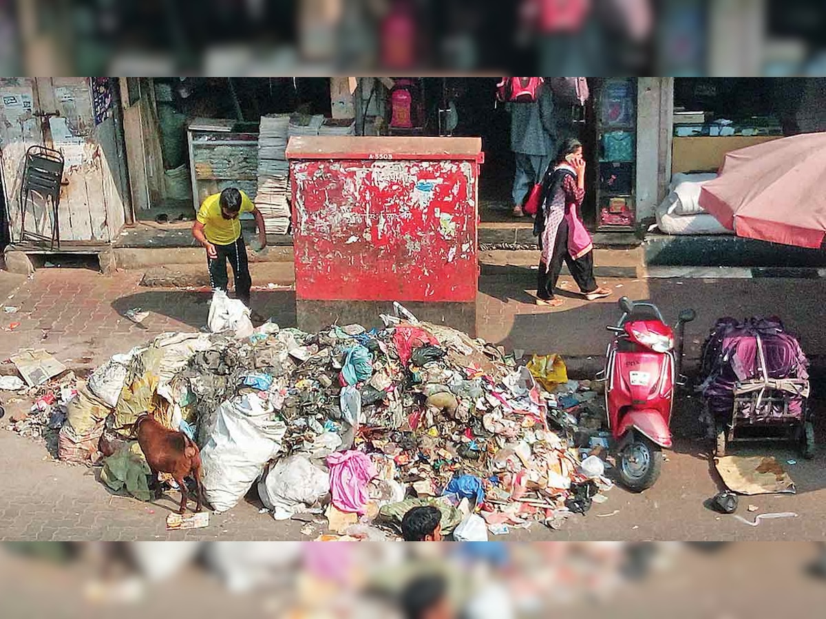 To curb littering, Delhi HC suggests e-challan system