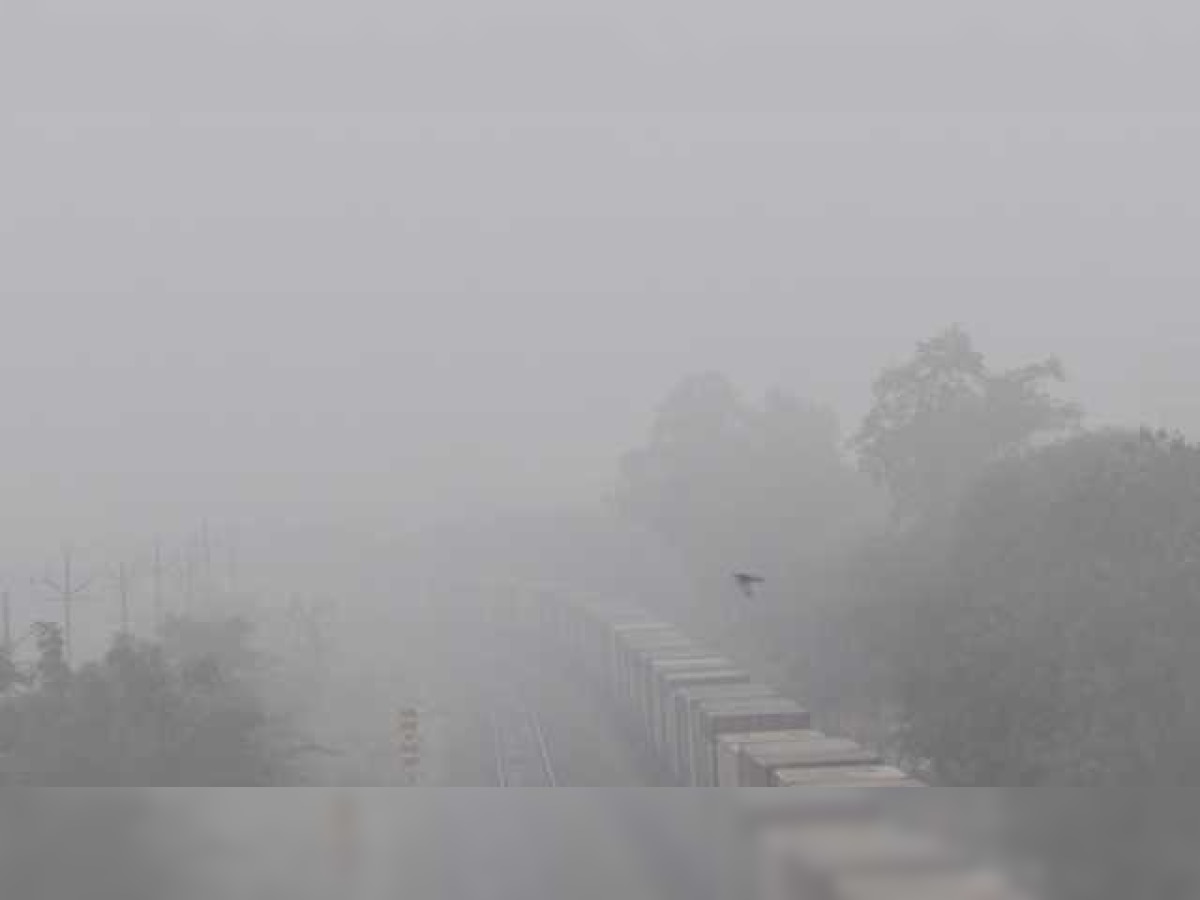 Fog-related road accident kills five in Uttar Pradesh