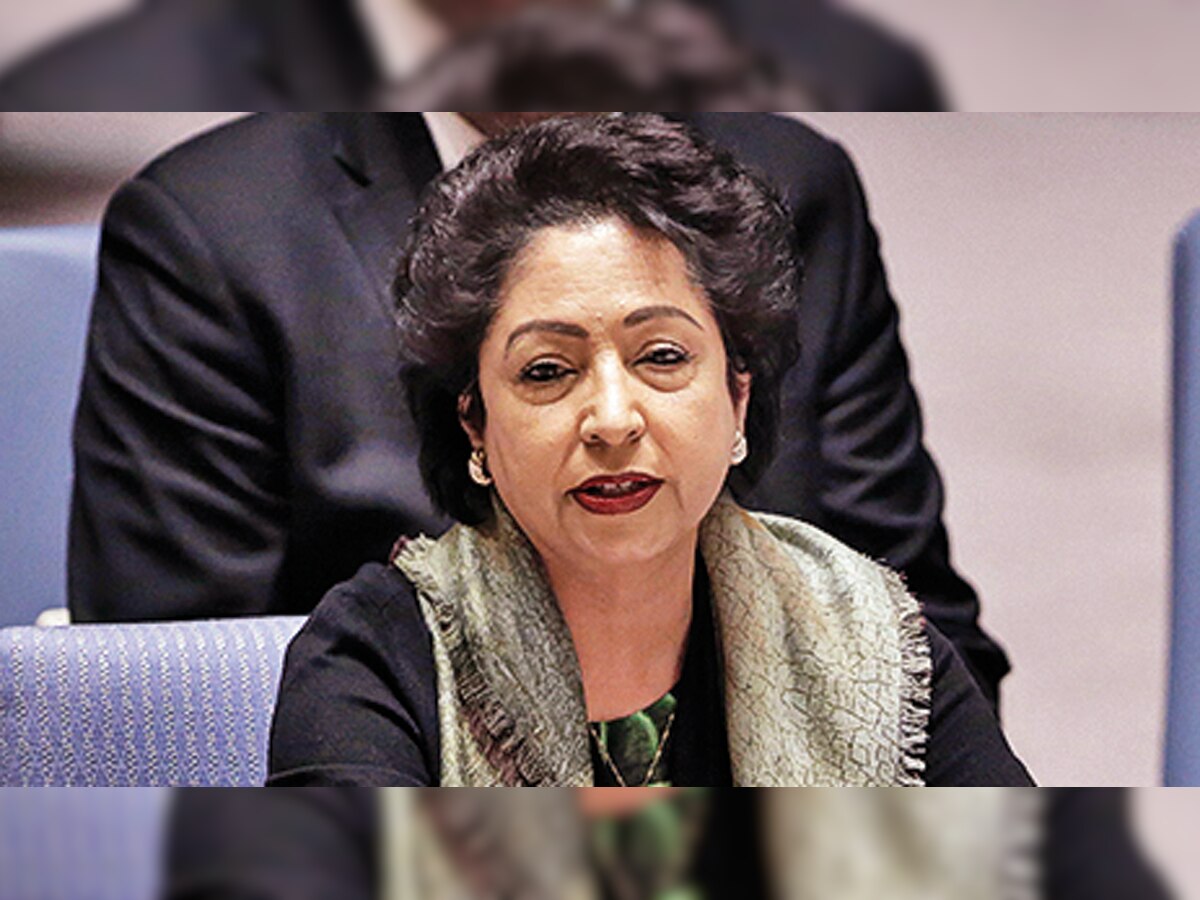At UN Security Council, India, US take on Pakistan
