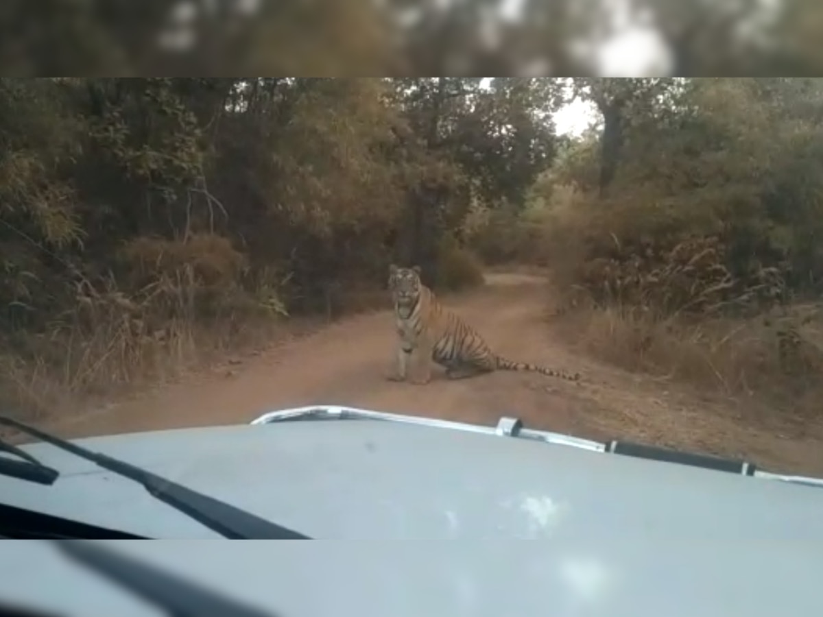Watch: These two bikers just had an encounter with a tiger and lived to tell the tale