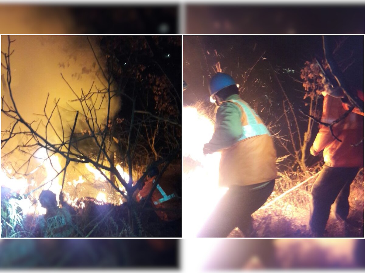 J&K | Massive forest fire in Nishat doused in a night-long operation, no injuries reported