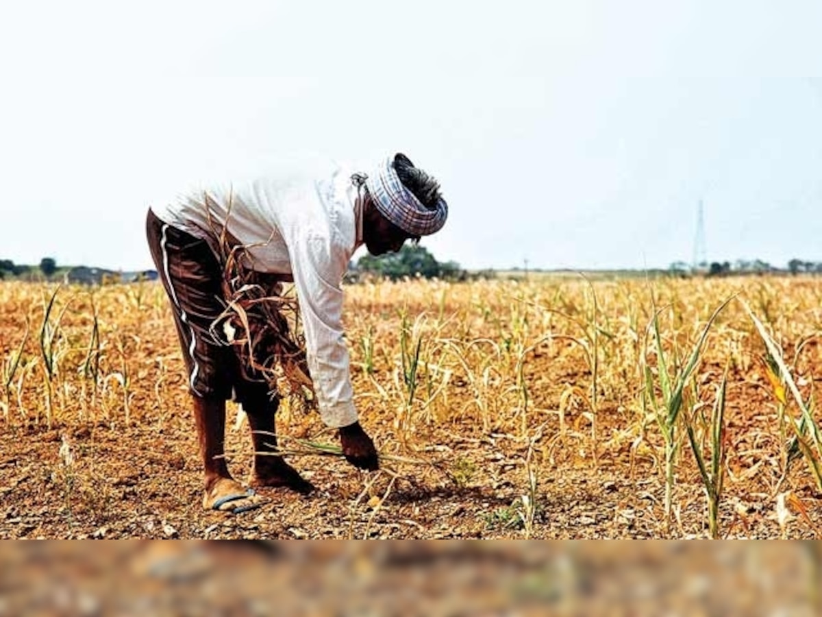 Economic Survey has dire warning about shrinking farm income owing to climate change 