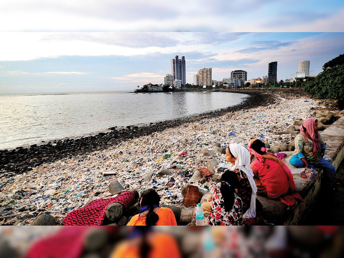 NGT pulls up Haji Ali for poor waste management