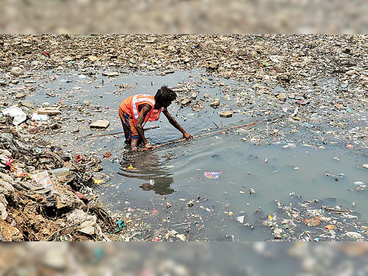 Plea in NGT to curb waste discharge in creeks