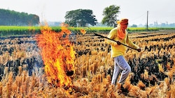 Centre provides Rs 486-cr subsidy to manage stubble burning issue