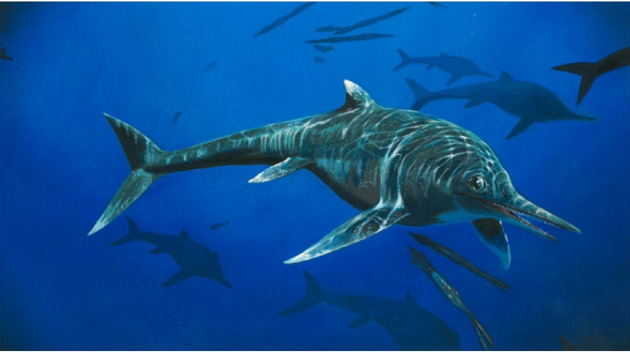 ichthyosaurus dinosaur