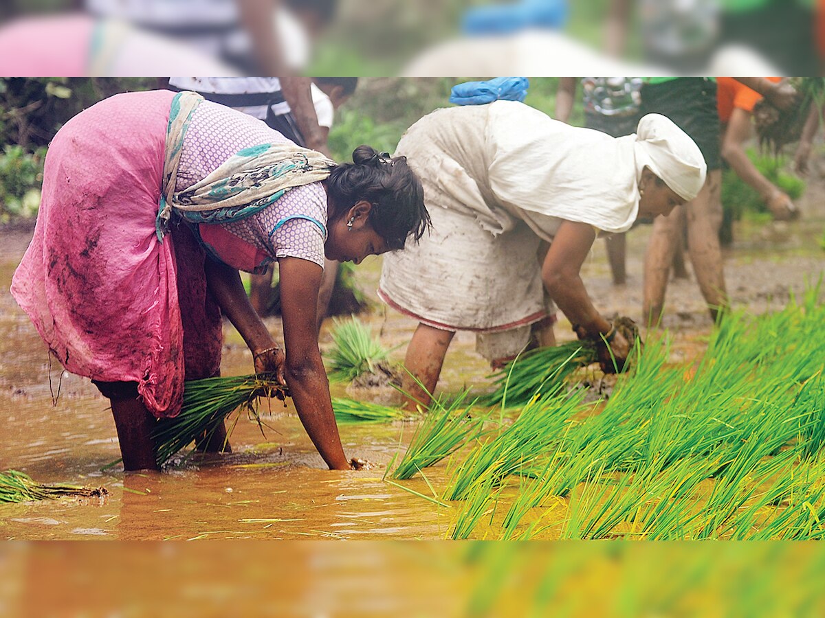 In the Budget, black is the new pink for women farmers