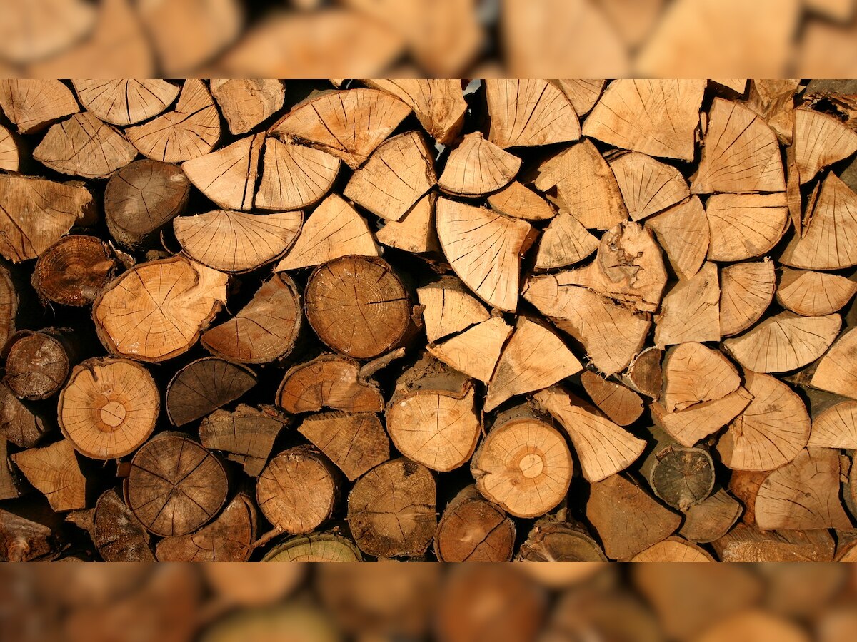 DISCOVERED: New process to make wood as strong as steel