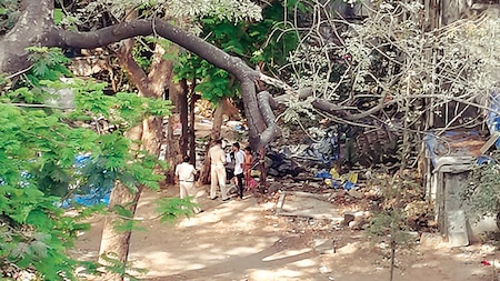 Boy stripped naked, tied to a tree for bunking classes