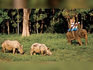 Min bodies to draft policy on human-wildlife conflict