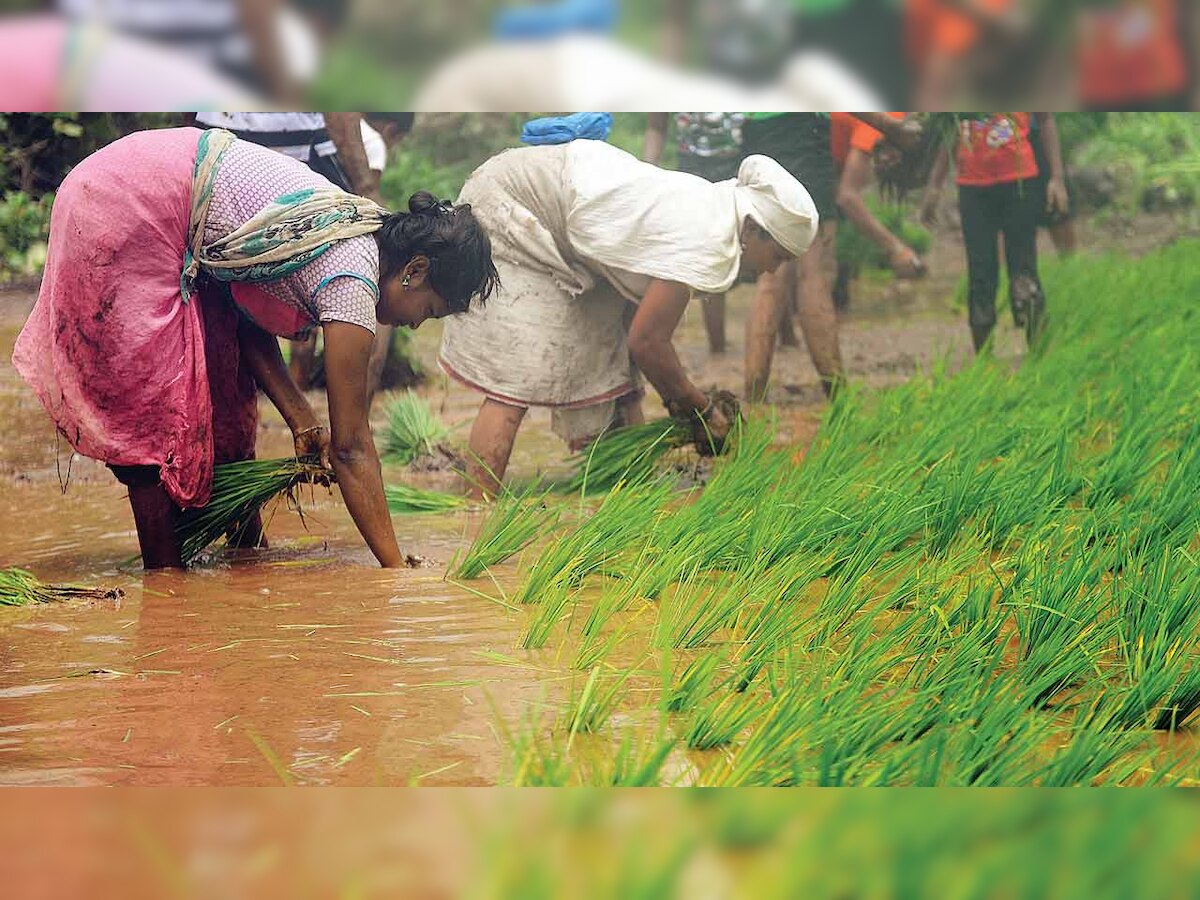 Let water flow till Mar 15, or compensate for loss: Khedut Samaj Gujarat