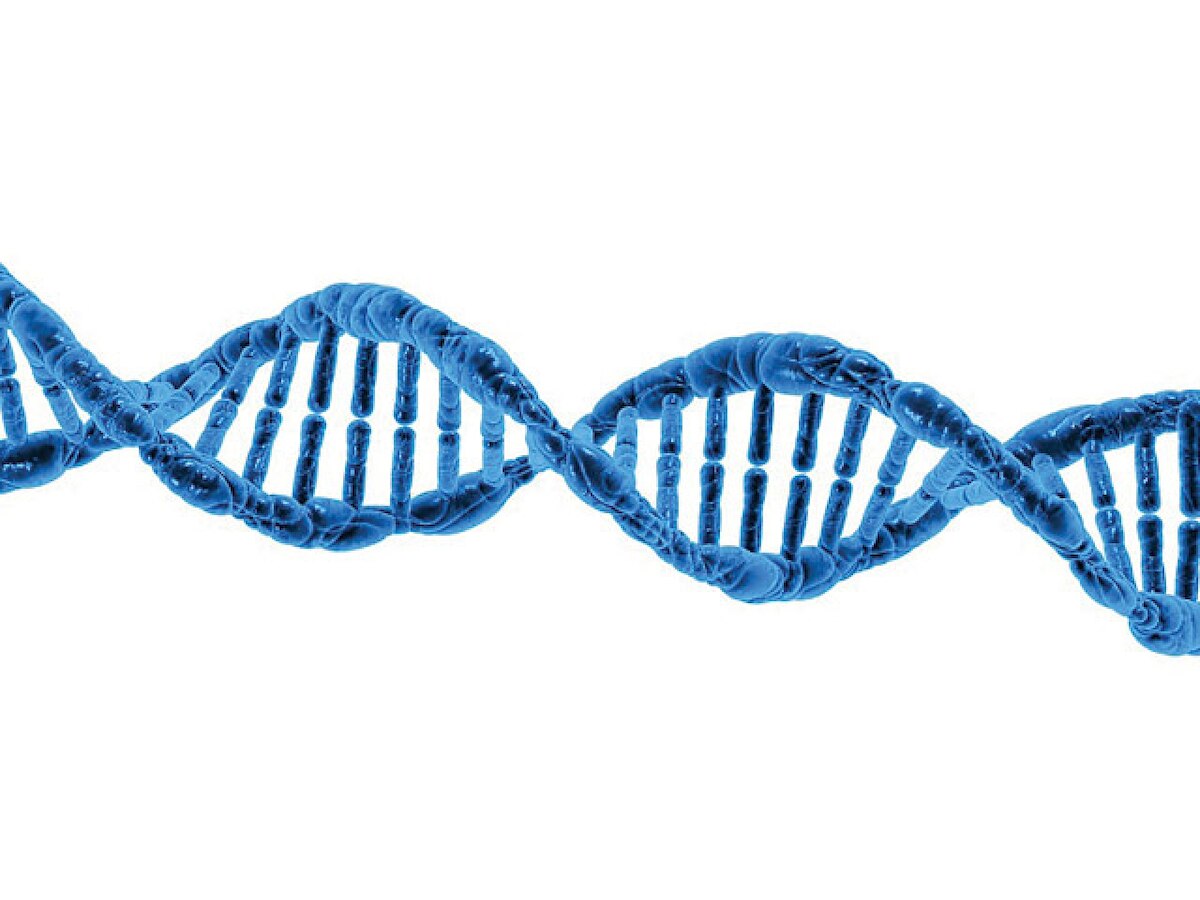 Novel DNA circuits may lead to gen-next bio devices