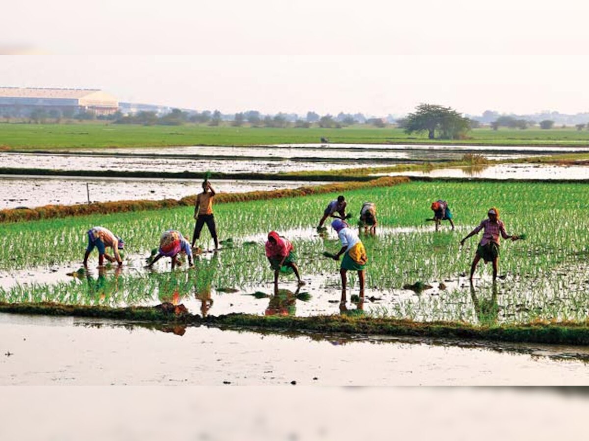 Farmers plan show of strength against Gujarat govt's policies in Gandhinagar