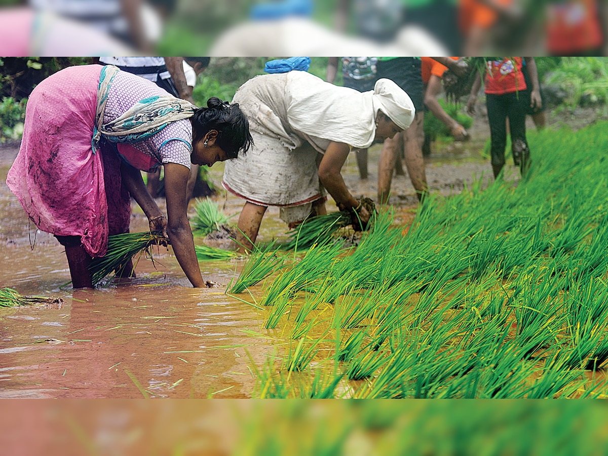 Maharashtra government may allocate more funds for agriculture, irrigation and infrastructure in 2018-19 budget