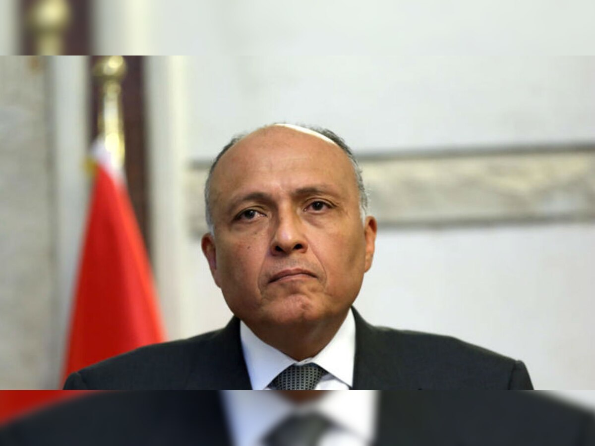 Egypt's Finance Minister to visit India for joint committee meeting on bilateral relations