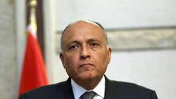 Egypt's Finance Minister to visit India for joint committee meeting on bilateral relations