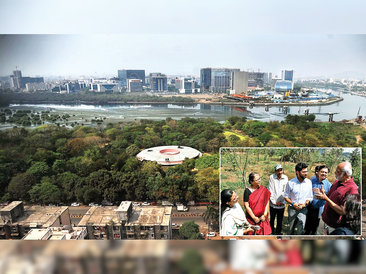 Maharashtra Government denies any plan to give away Mahim nature park to builders