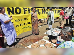 Gujarat government pushed marine fisheries, but ignored inland: CAG