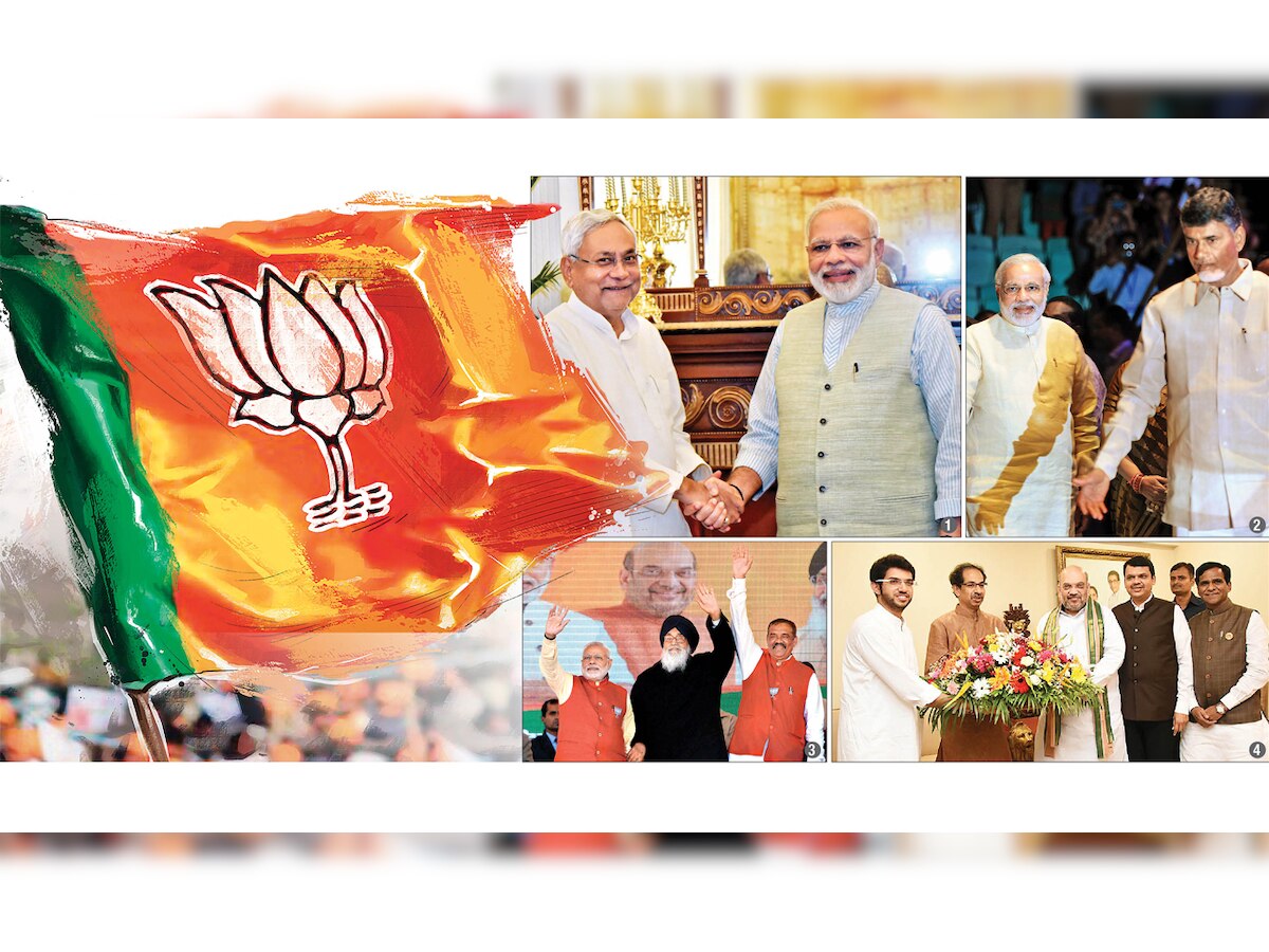 The Rise and Times of BJP