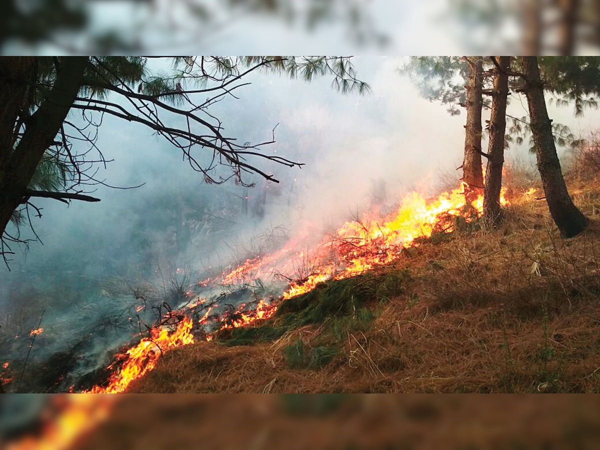 Dry spell triggers massive forest fire in Kashmir valley