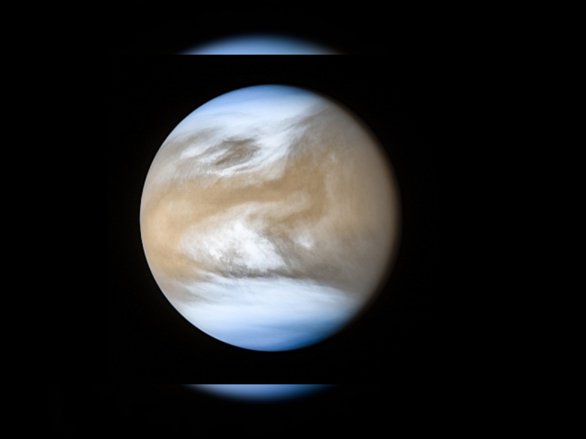 Clouds of Venus may host alien life, finds new study