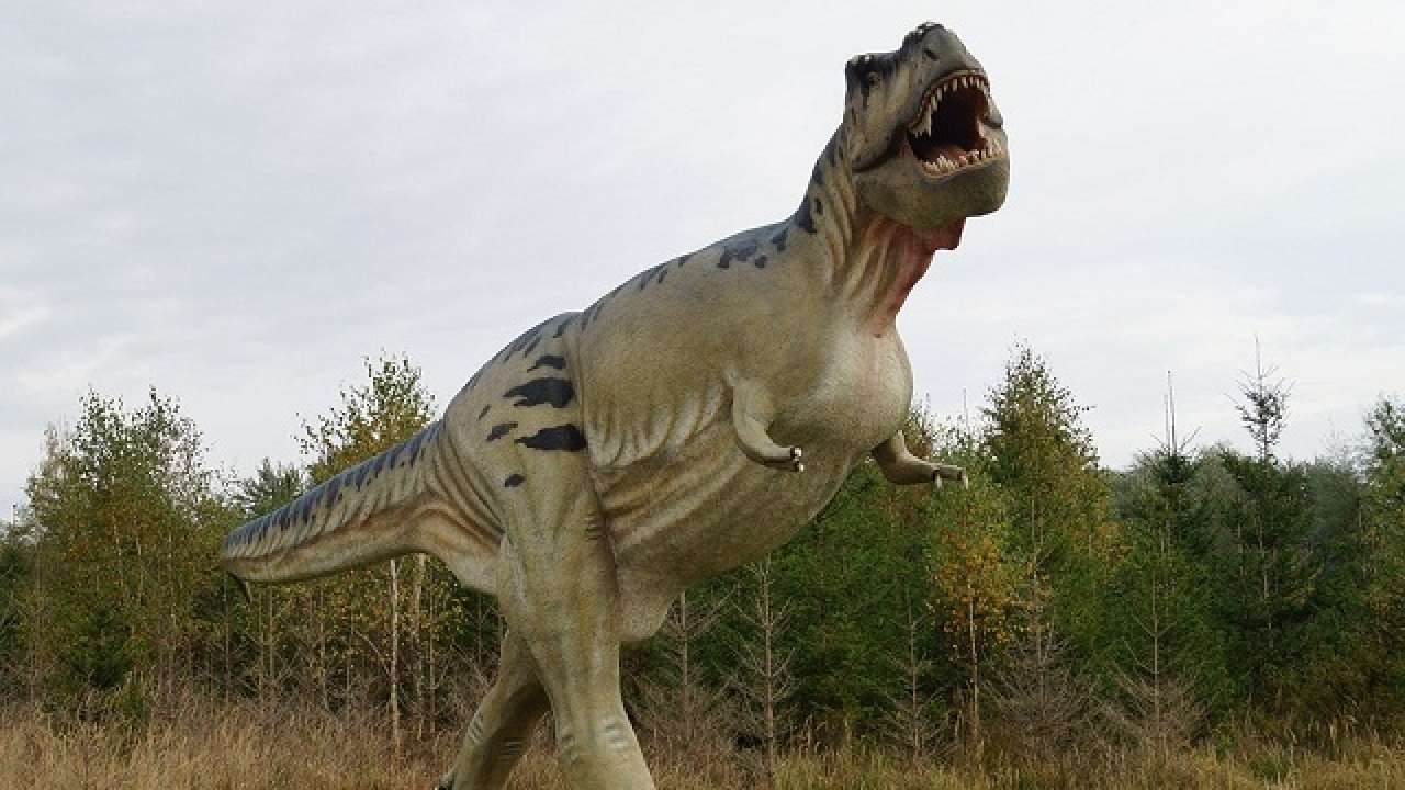 Dinosaurs Were Dying Off Long Before Asteroid Hit, Says Study