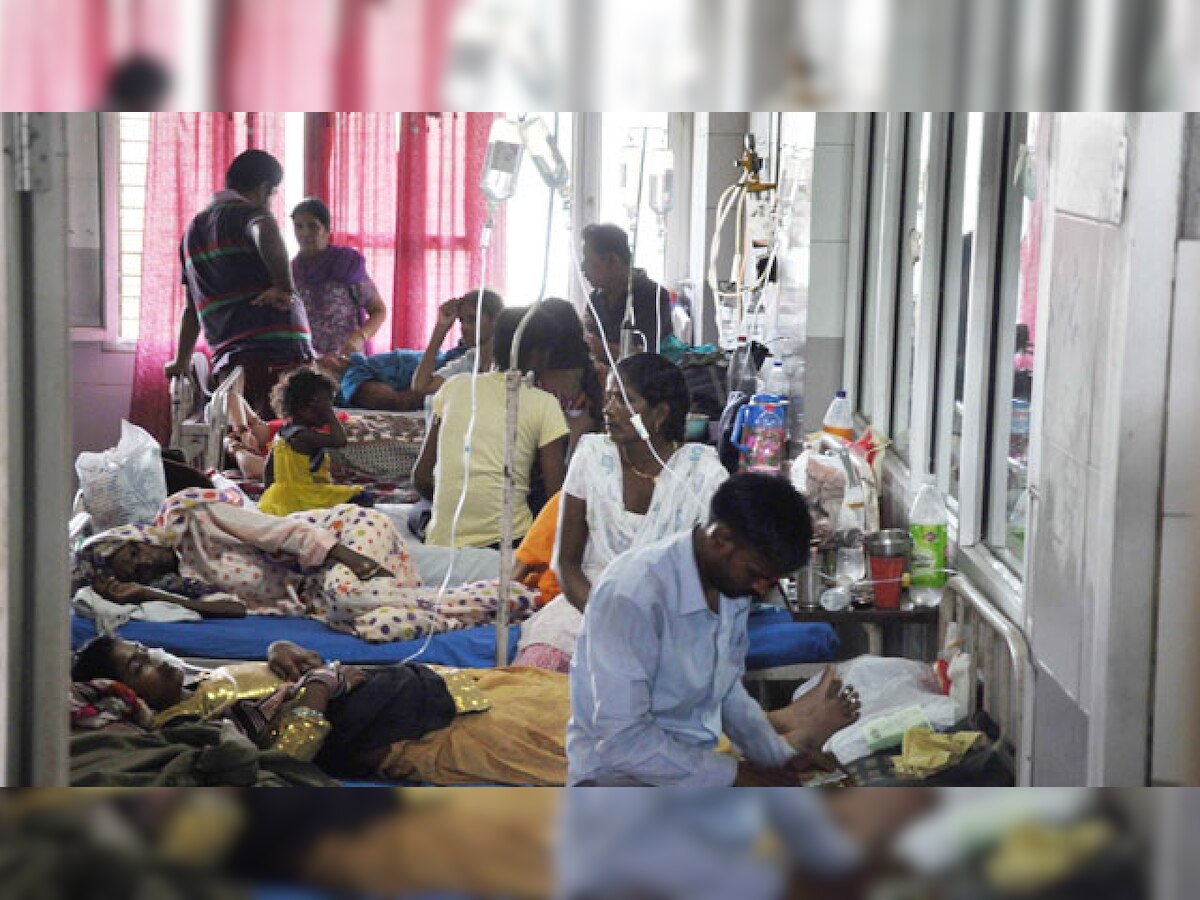 Indian scientists make Ayurvedic drug to cure dengue, claimed to be first in the world