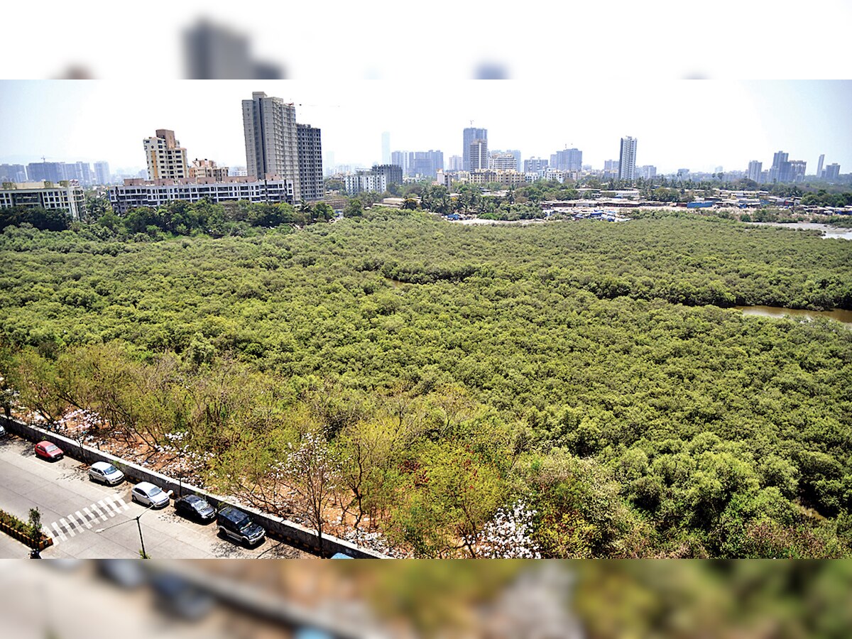 Wetlands activists raise questions as panel skips monthly meetings