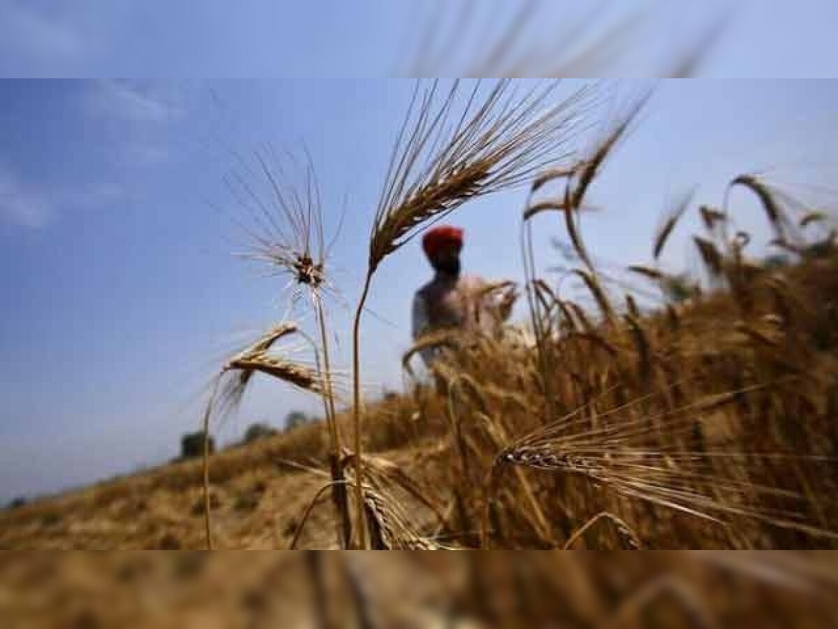 Six farmers try to commit `suicide' in Maharashtra's Parbhani