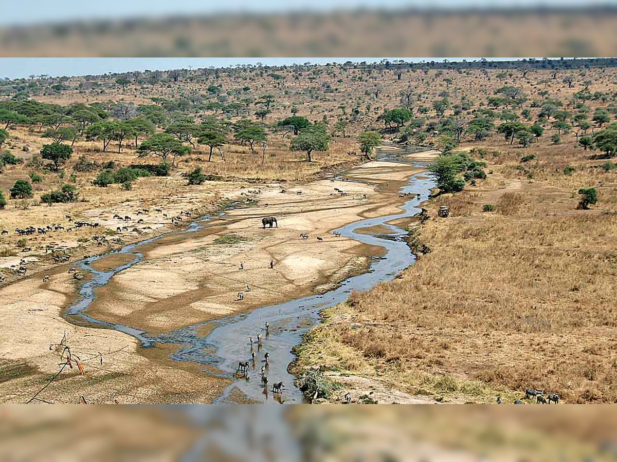 Gujarat to follow Madhya Pradesh model to revive dying rivers