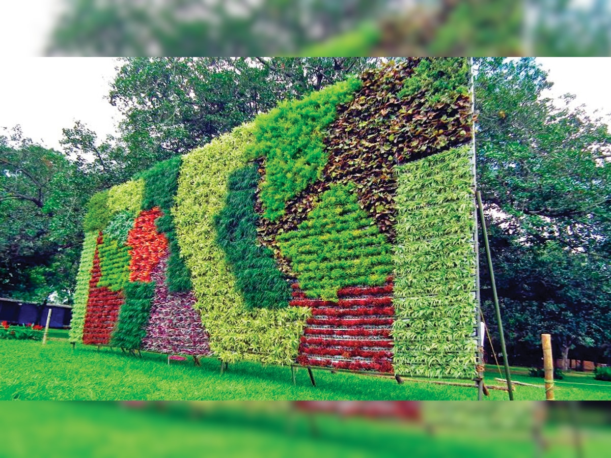 Go Green: Delhi government promotes vertical gardening to curb pollution in National Capital