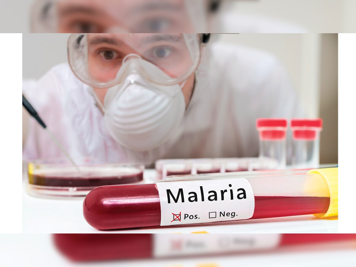 To strengthen fight against malaria, Maharashtra government to declare it notifiable disease