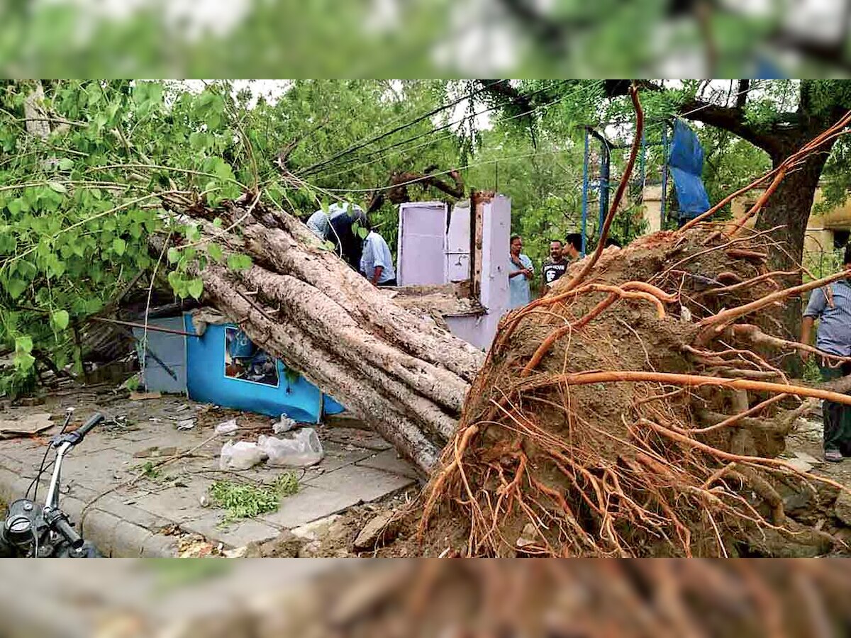 Rajasthan: Storm toll mounts to 33, over 100 injured