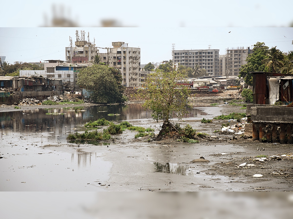 DNA Rain Check: When it rains, it's a flood of woes