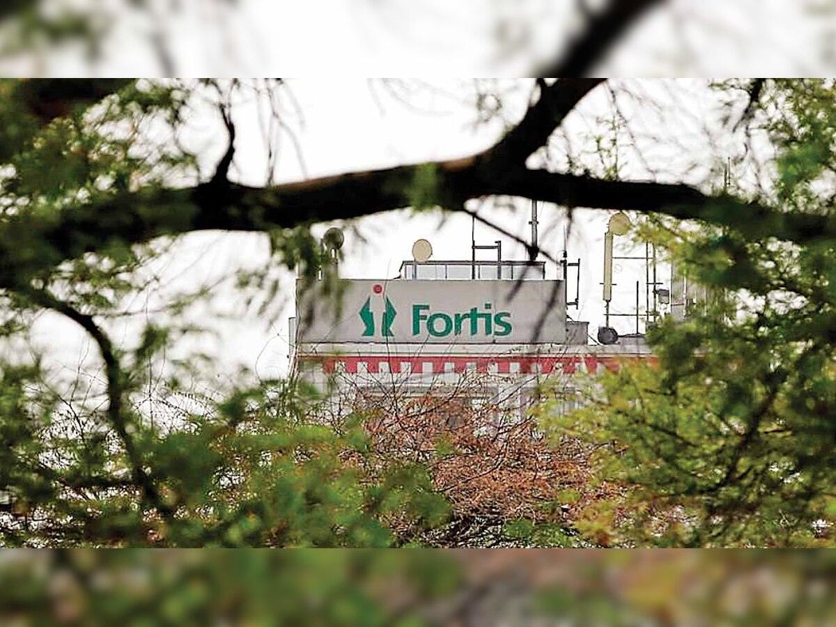 Fortis Board overhaul will lead to 'turbulence'