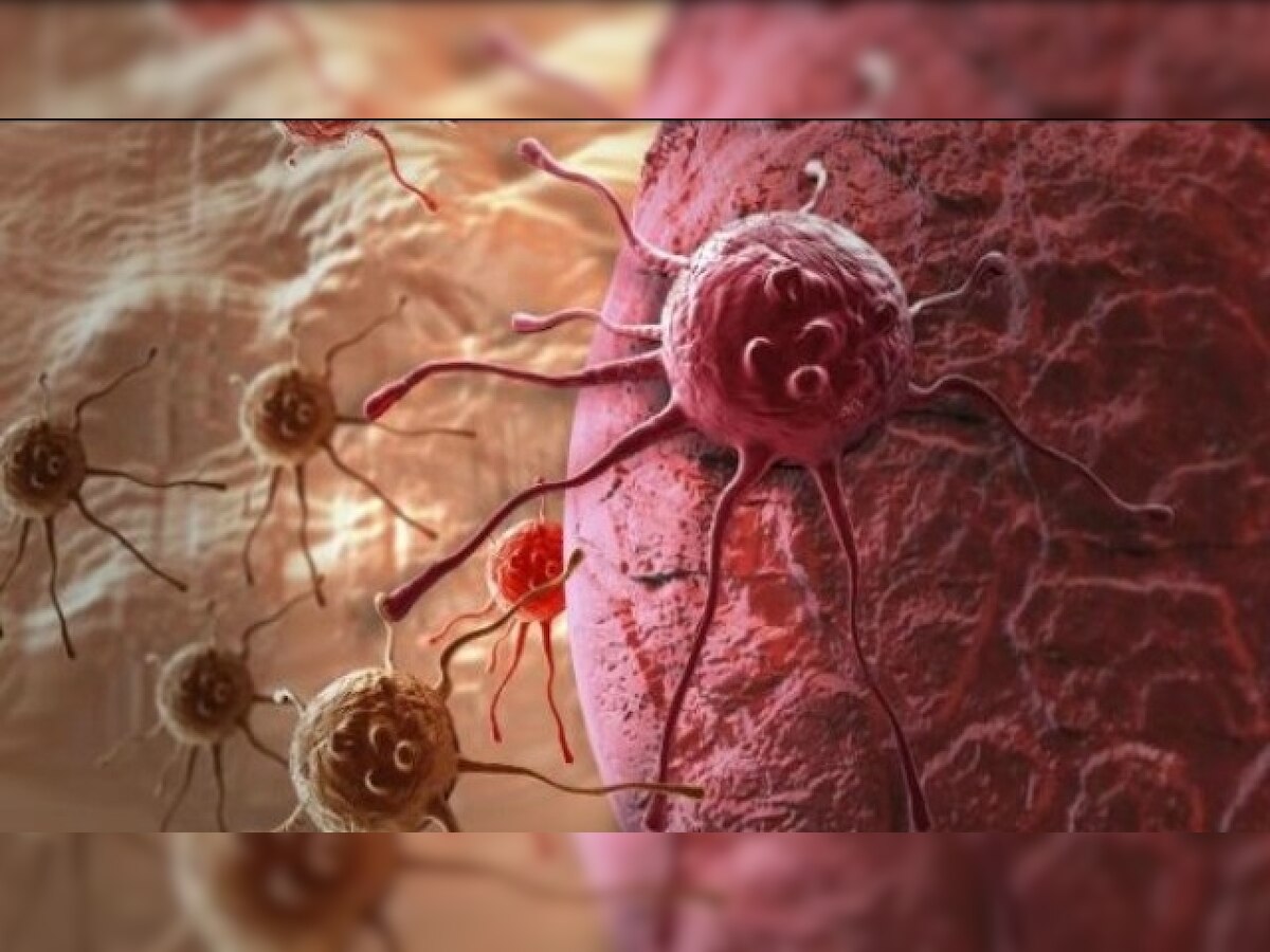 Blocking these two antioxidant enzymes could make cancer cells mortal