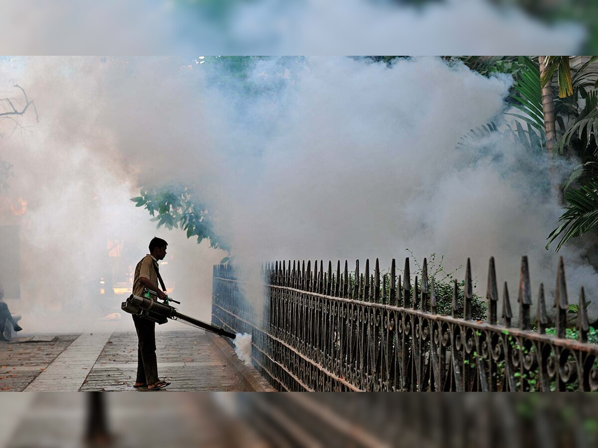 Malaria-free Gujarat? Not until Ahmedabad, Surat take the sting out