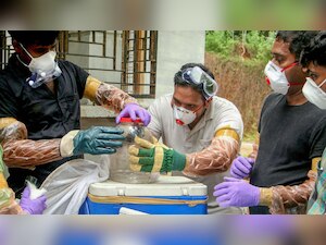 Nipah virus: No need to panic in Goa, says govt