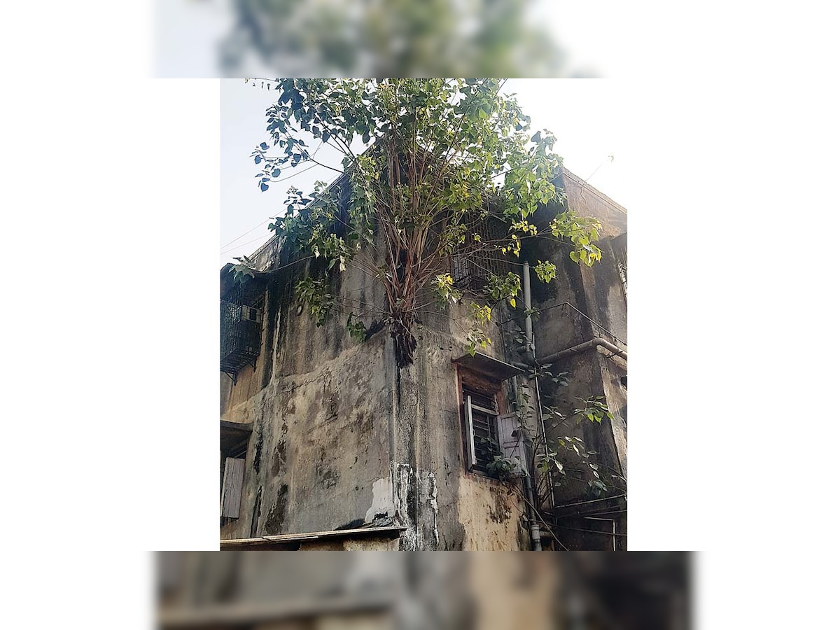 16 of 34 buildings in Chembur colony are dilapidated