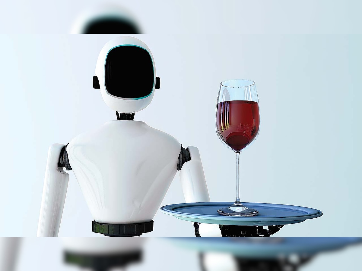 Robot as a concierge?